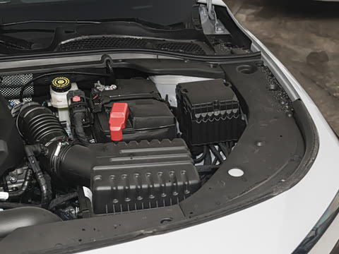 2025�� 2.0T DCT��