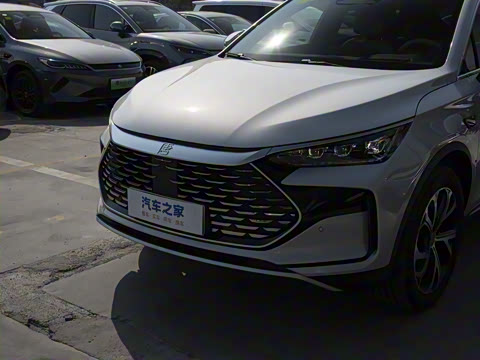 2025�� �Ǽݰ� DM-i 115KM �콢��