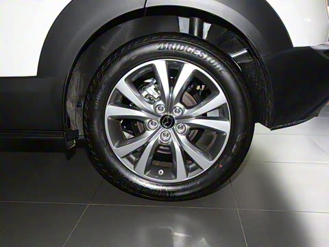 2024�� 2.0L �Զ�������