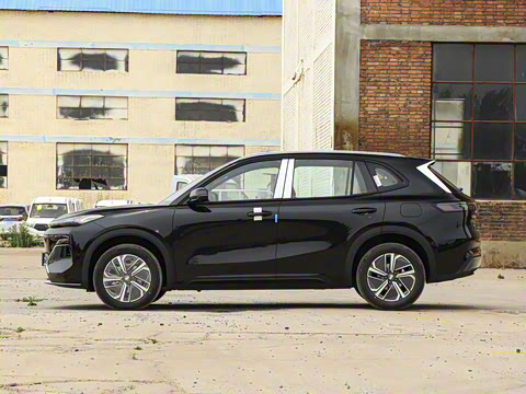 2025�� 55km ������