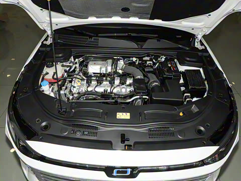 2024�� ���Ĵ� 2.0T �캽��