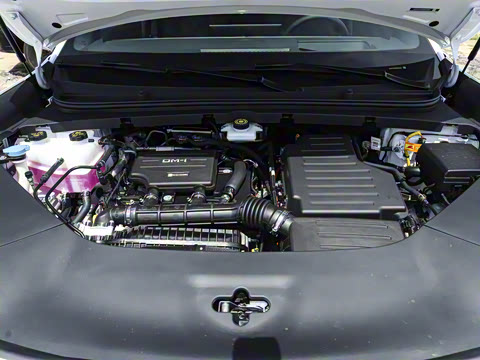 2025�� DM-i 170�캽Plus��