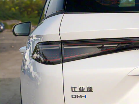 2025�� DM-i 115KM�콢��