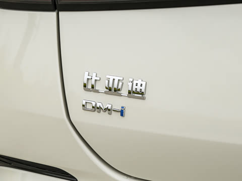 2025�� �Ǽݰ� DM-i 1.5T 125km �콢��