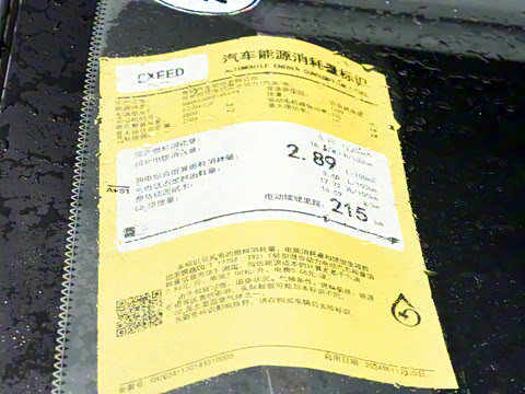 2025�� ���� 265 Max��������������ʻ