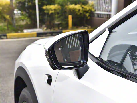 2025�� 520Max �����Ǽ�AD PRO�����