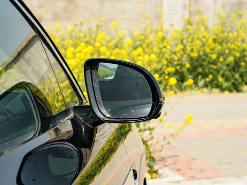 2025�� DM 200KM���������״��콢��