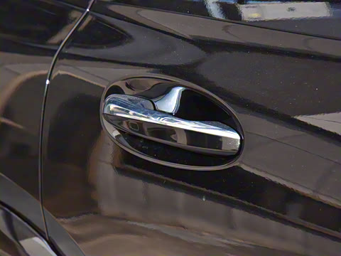 2025�� ����������