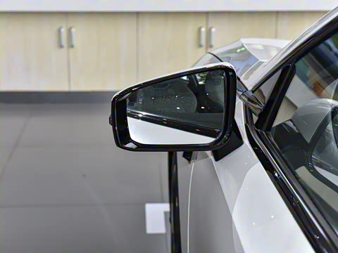 2025�� 530Max  �����Ǽ�AD PRO�����