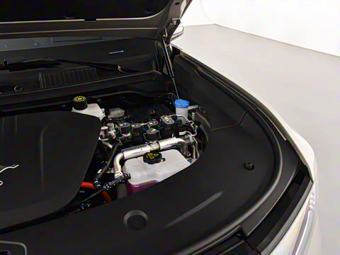 2025�� �����콢�� 6��