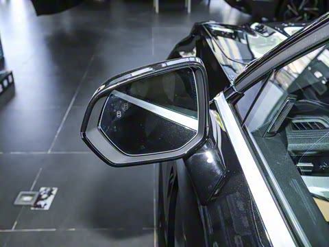 2025�� 2.0TD EM-P ����Max ����