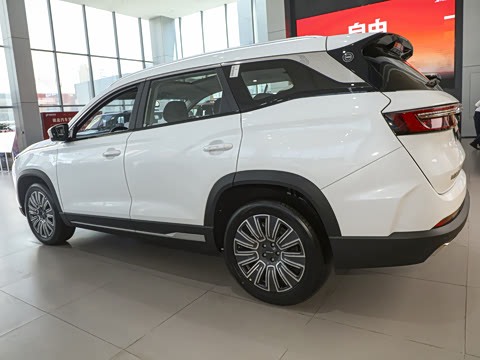 2024�� 1.6T DCT��Ӣ�� 7��