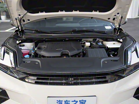 2025�� Renew 1.5T Pro