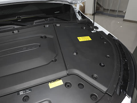 2024�� 520 ��ҫ��