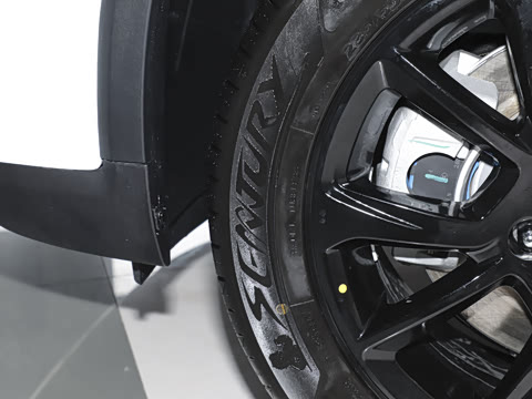 2024�� 520 ��ҫ��