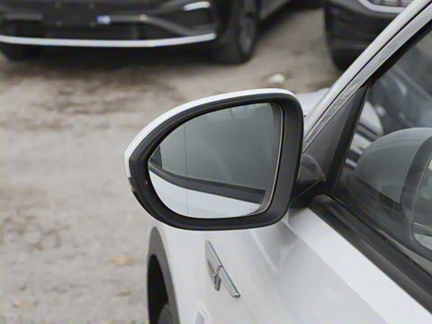 2025�� 300TSI DSG���������