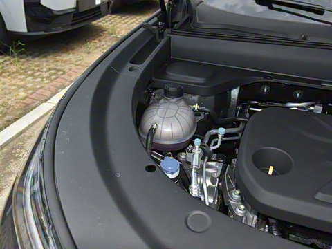 2025�� 145������