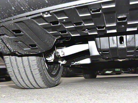 2025�� ���羫Ӣ��