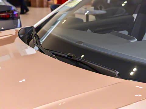 2025�� 300TSI DSG���������