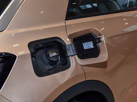 2025�� 300TSI DSG���������