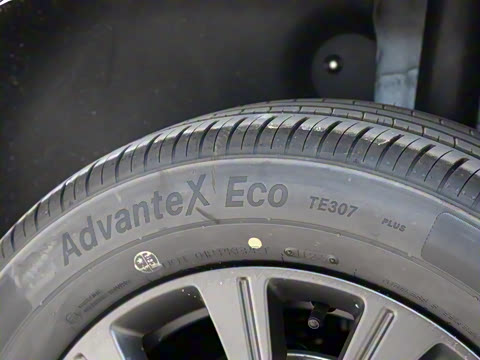 2025�� 520�ǻݰ�