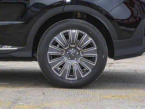 2025�� 1.5T �������Ȱ� 7��