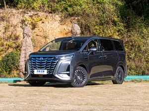 腾势D9正价销售30.98万起 欢迎到店垂询