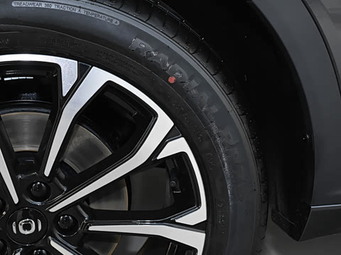 2025�� ����� 125 ��Խ��