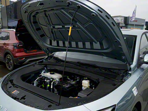 2025�� 450km ������