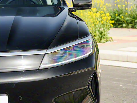 2025�� DM-i �Ǽݰ� 115KM������