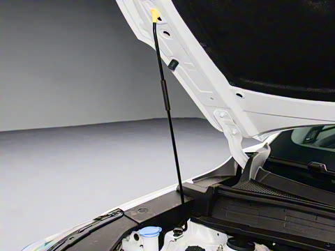 2025�� ����� 125 ������