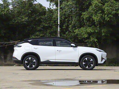 2025�� 205��������������