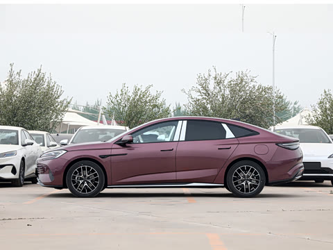 2025�� �Ǽݰ� DM-i 1.5L 125km �����