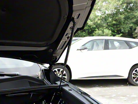 2024�� ������ �ھ��� 2.0T �Ǽݾ�����