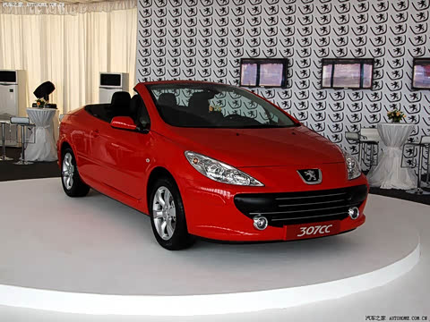 ����(����) ����307(����)