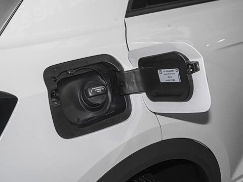 2024�� 300TSI DSG���������