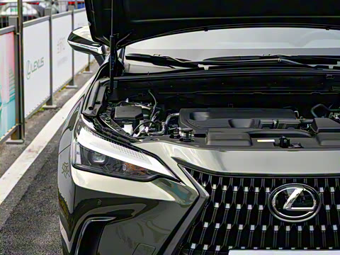 2024�� 260 ǰ�� ���ð�