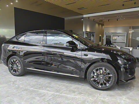 2025�� 825 Max��