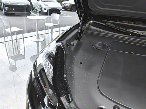 2025�� 825 Max��