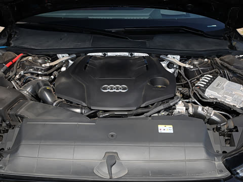 2024�� 55 TFSI quattro ����ʿ��