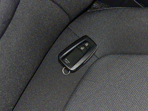 2023�� ˫�� 2.5L E-CVT������Ӣ��