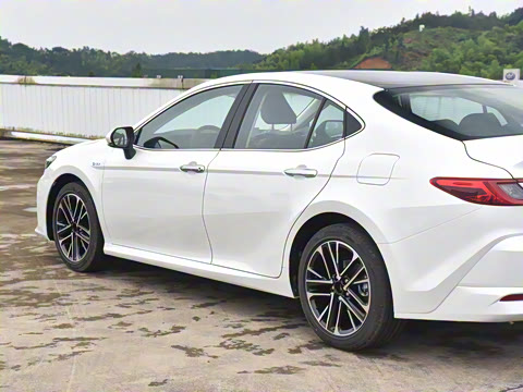 2024�� ˫�� 2.5HG ����