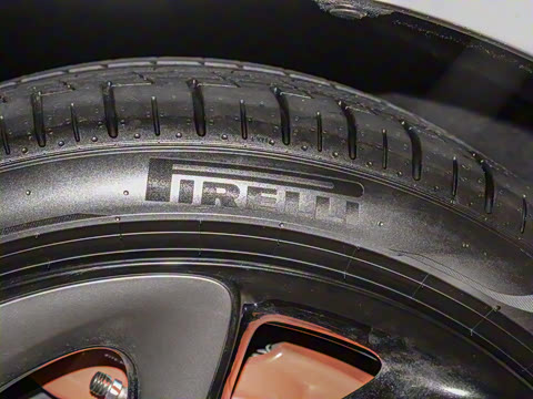 2024�� Max ����������