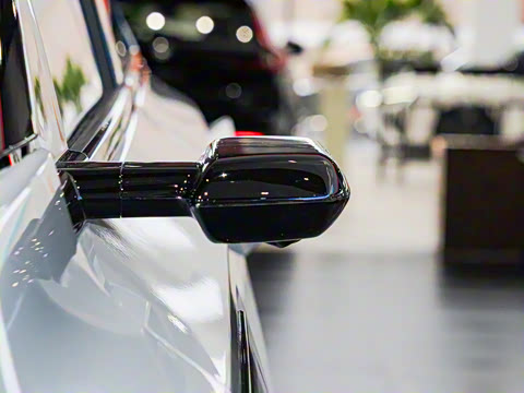 2025�� ����������Pro