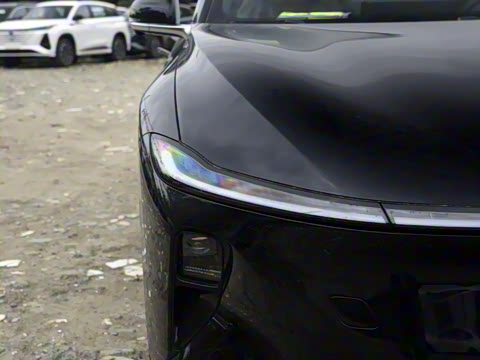 2025�� ���� ����� 230 ������