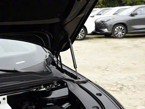 2025�� ���� ����� 230 ������