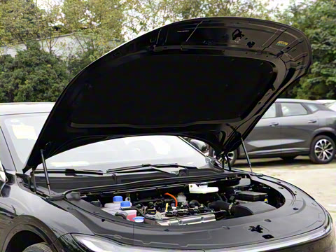 2025�� ���� ����� 230 ������