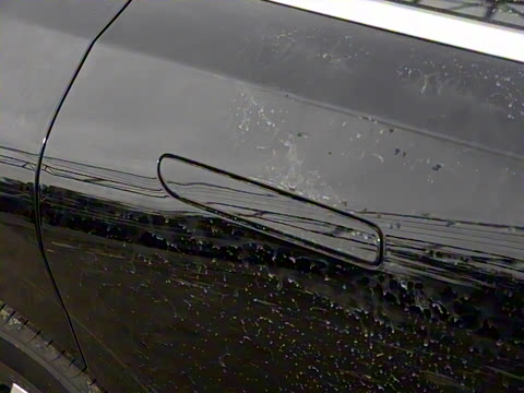 2025�� ���� ����� 230 ������