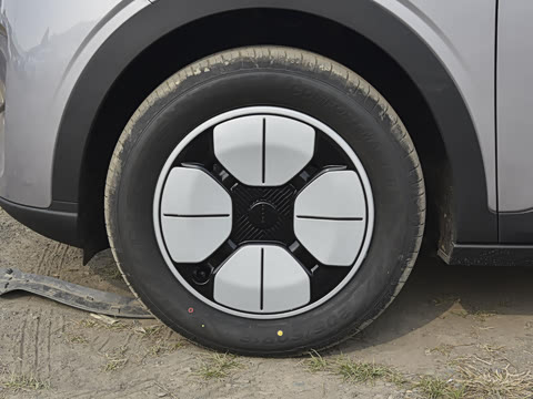 2025�� 310km �ഺ��