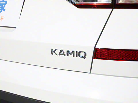 2025�� 1.5L �Զ�ʵ����